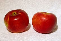 Cortland_apples